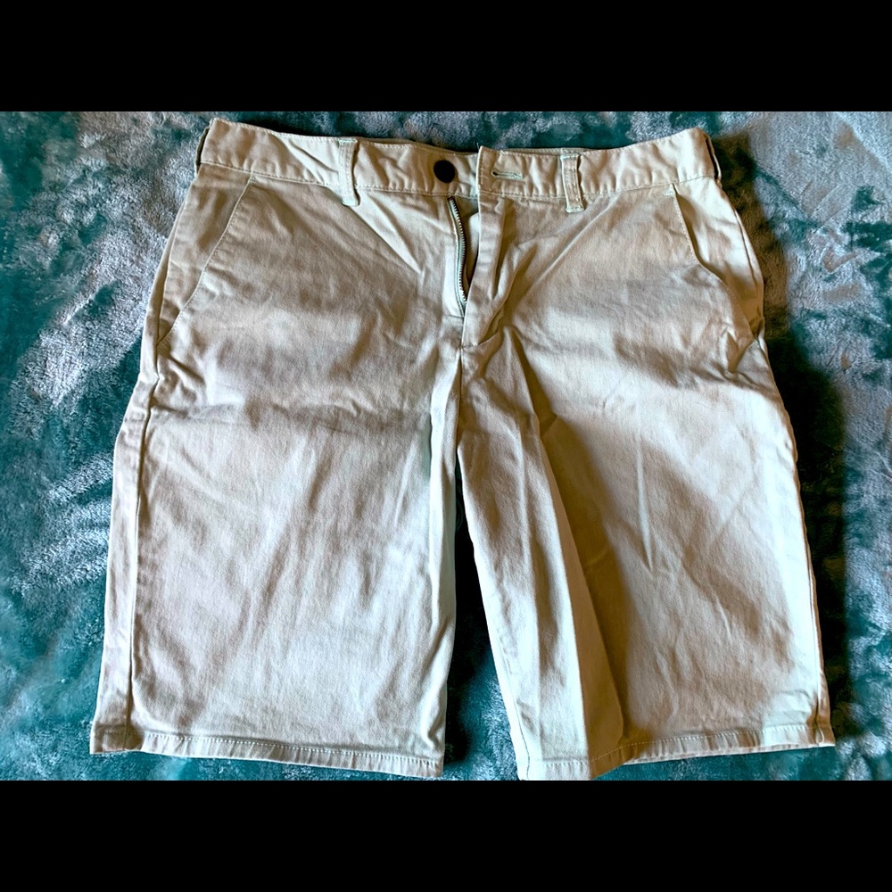 Pacsun Spring Shorts (Mint color)